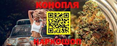 дмт Будённовск