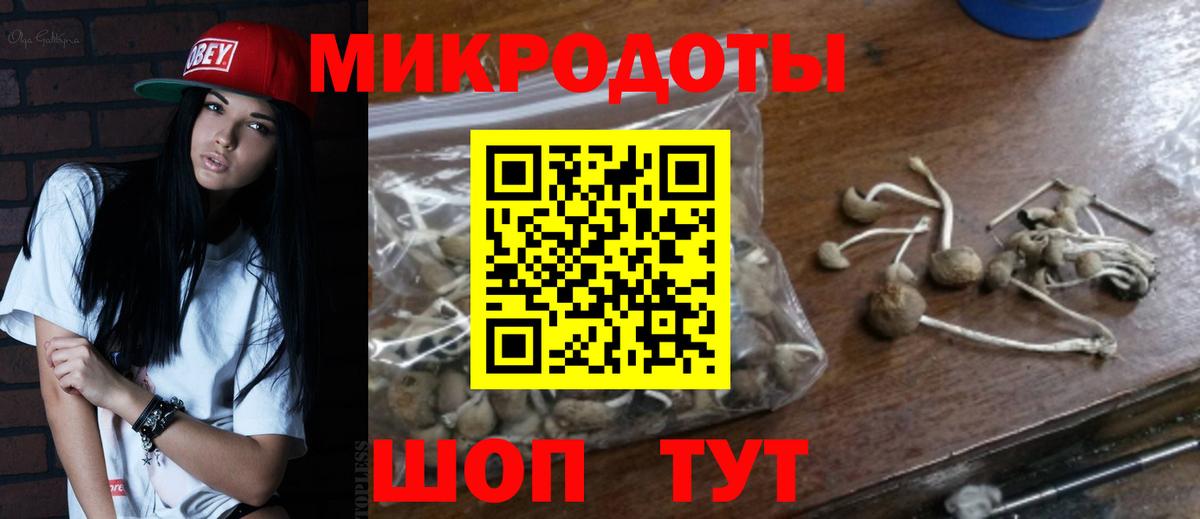 Сафоново  Псилоцибиновые грибы GOLDEN TEACHER  Вход с VPN  Псилоцибиновые грибы Magic Shrooms 