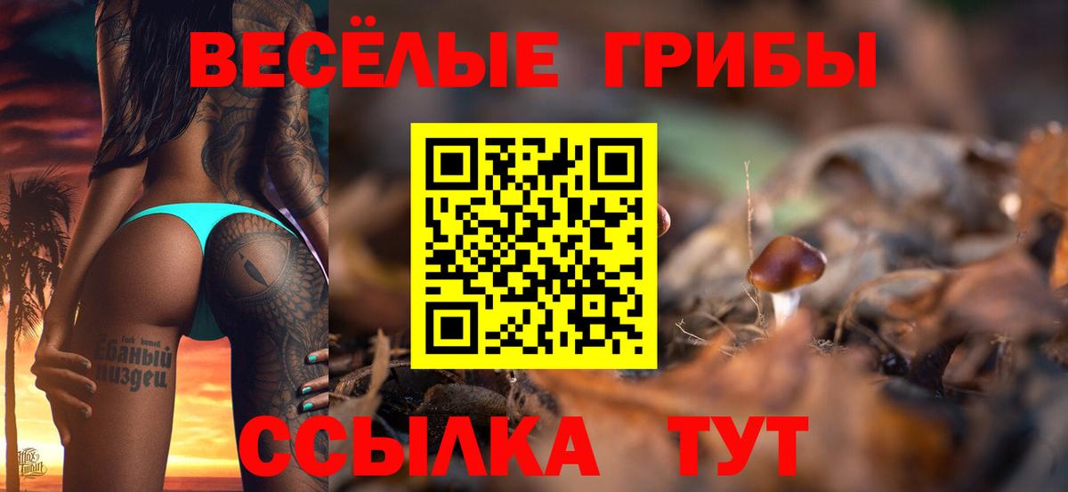 Галлюциногенные грибы MAGIC MUSHROOMS Сафоново