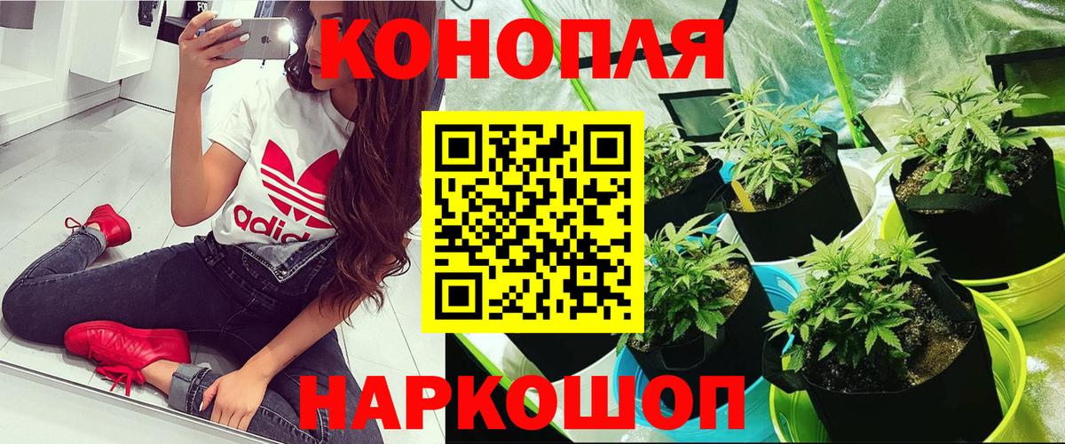 Марихуана THC 21%  Канабис Amnesia  Сафоново  Бошки Шишки индика  Каннабис LSD WEED  Вход с VPN 